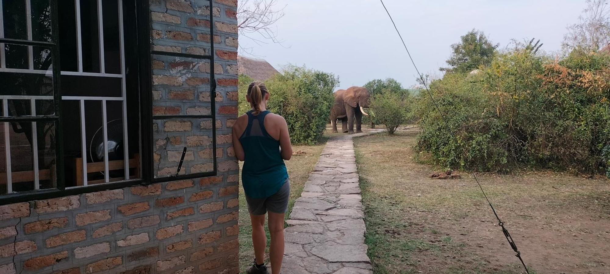 Engiri Game Lodge And Campsite Katunguru Exterior foto
